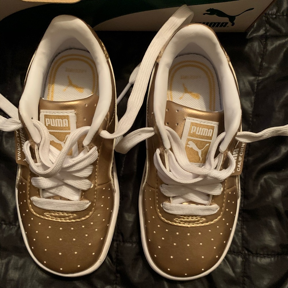 California Metallic Puma